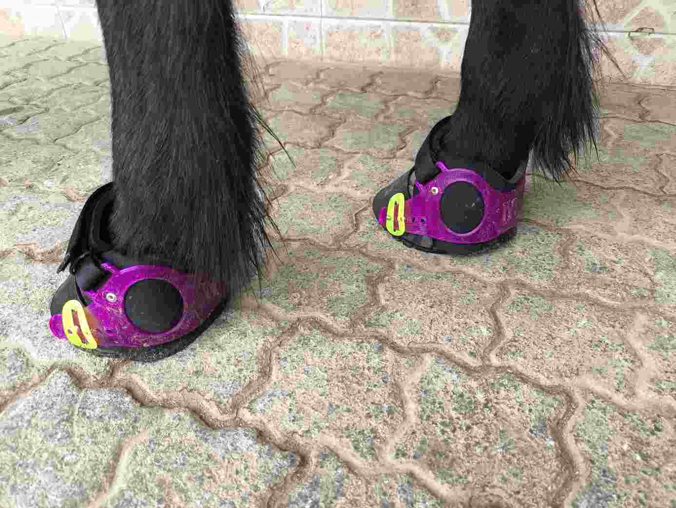 Hufschuhe2