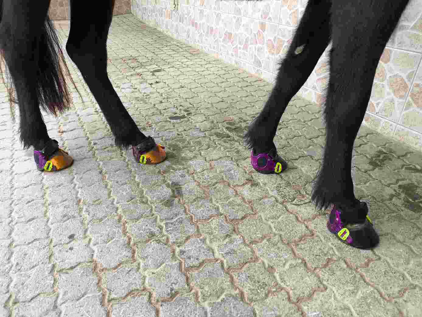 Hufschuhe3