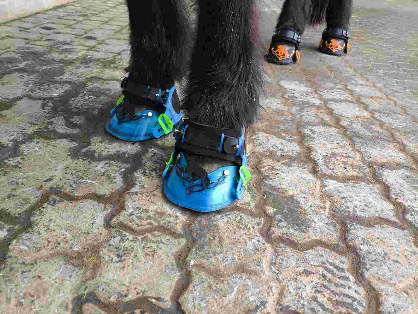 KleineHufschuhe2